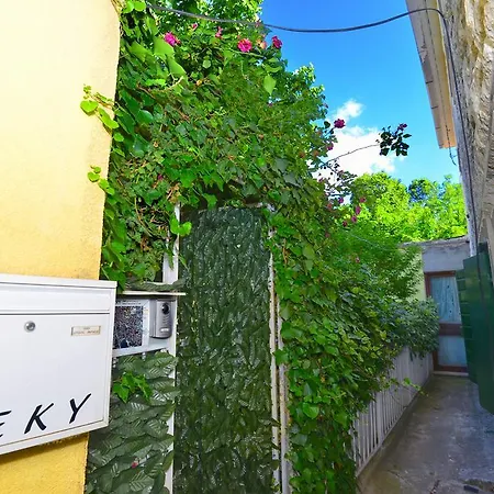 Veky 3 Apartament *