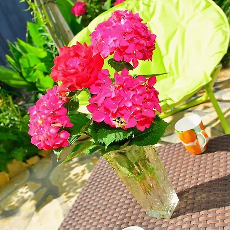 Appartamento Veky 3 *